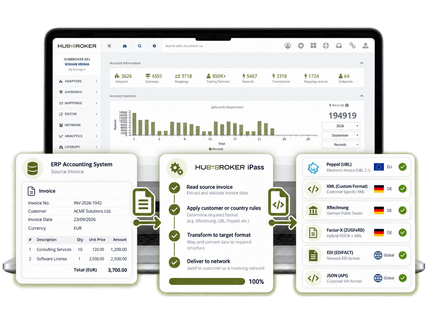 ERP and Accounting System Integration.png