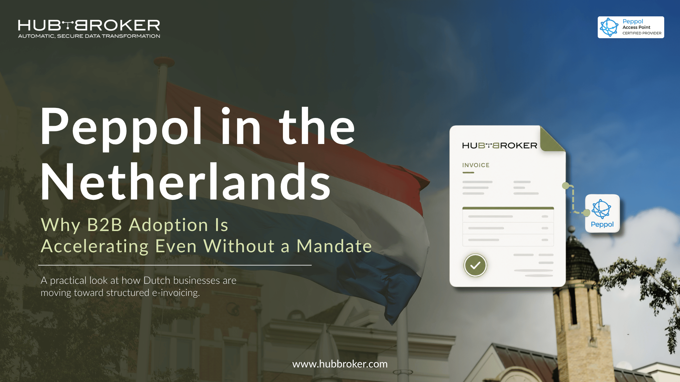 peppol einvoicing in netherlands b2b