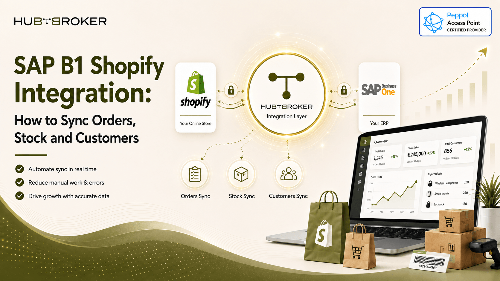 sap b1 shopify integration