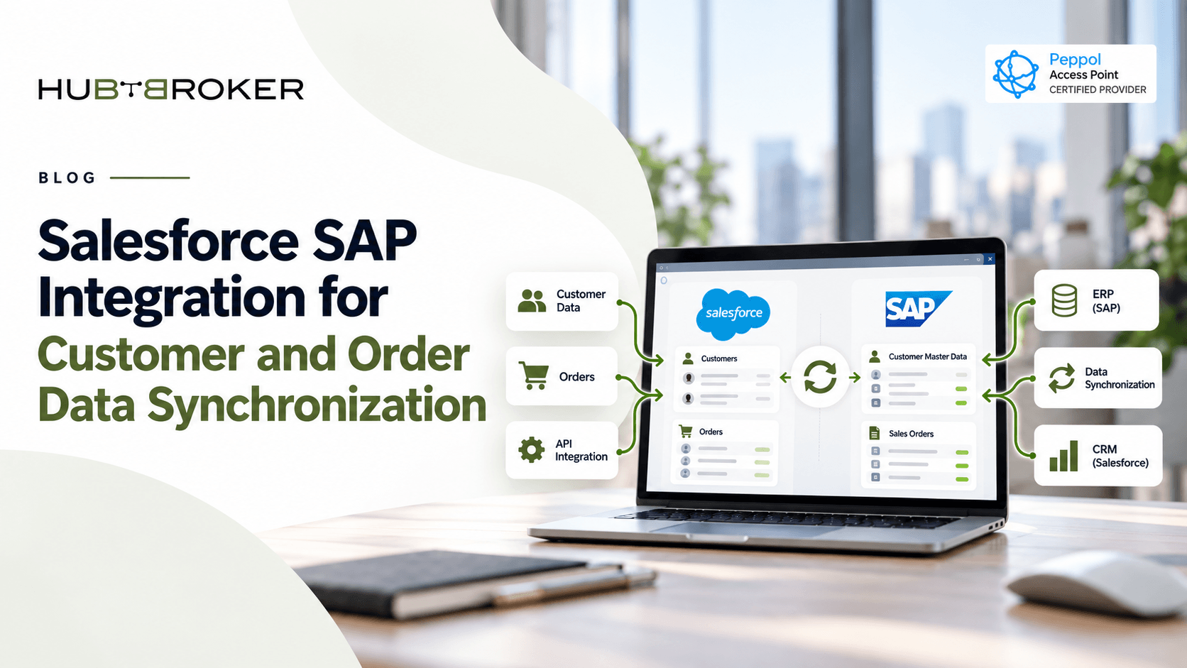 salesforce sap business one integration
